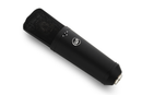 Warm Audio WA-87 R2 Large Diaphragm Condenser Mic