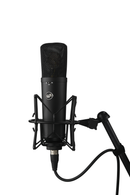 Warm Audio WA-87 R2 Large Diaphragm Condenser Mic