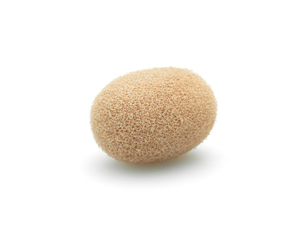 DPA DUA0531 Foam Windscreen for d:fine & d:screet Mics