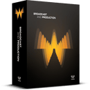 Waves Broadcast & Production Bundle