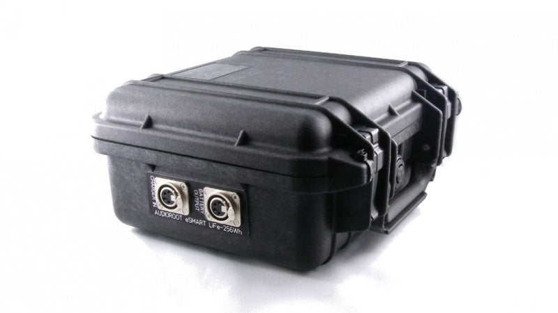 Audioroot eSMART LiFe-256Wh Rechargeable Li-Ion Battery