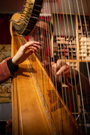 Toontrack EZ Keys Hybrid Harp EKX Expansion Pack