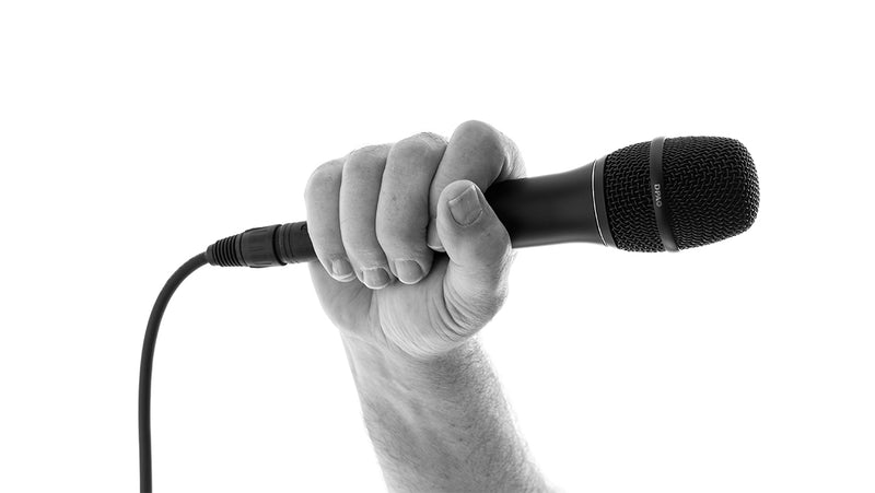 DPA 2028 Vocal Microphone