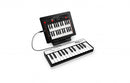 IK Multimedia iRig Keys 2 Mini