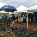 Orca Bags OR-112 Outdoor Protection Umbrella