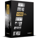 Waves Pro Show Bundle