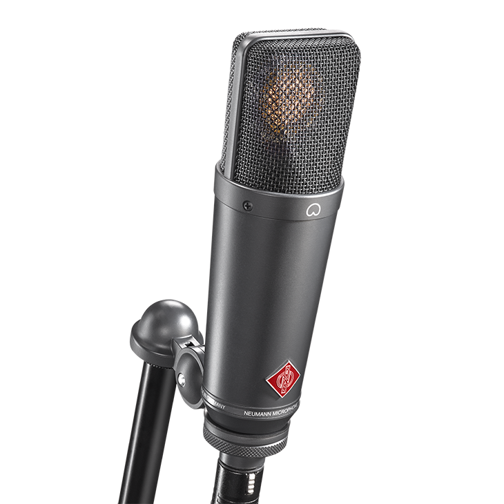 Neumann TLM-193 Large Diaphragm Condenser Microphone