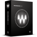 Waves Renaissance Maxx Bundle