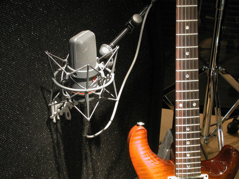 Neumann TLM-170 R Large Diaphragm Condenser Mic